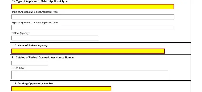 How to fill out sf424 fillable form part 4