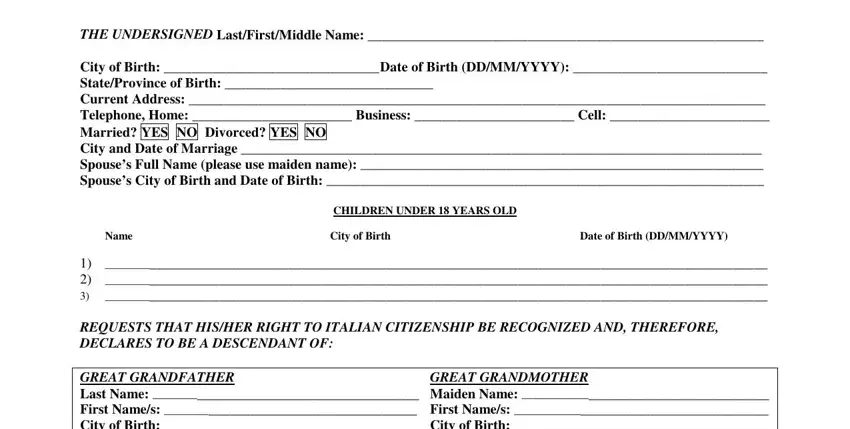 Part number 1 for submitting dual citizenship italy form