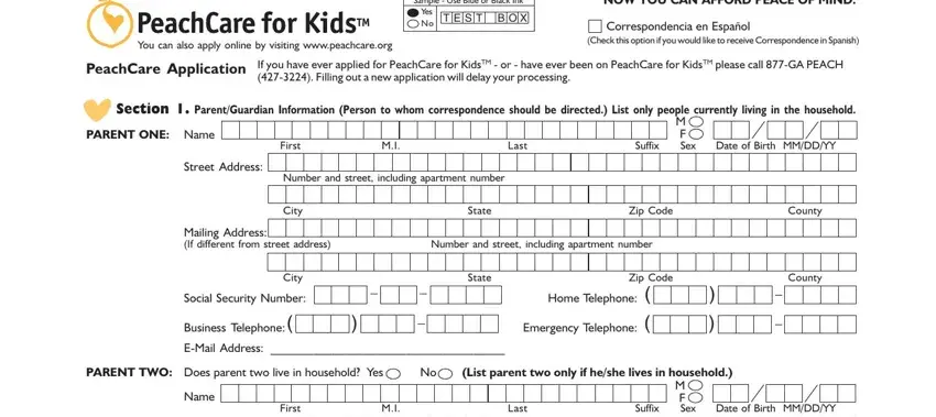 Stage number 1 of filling out peachcare for kids application