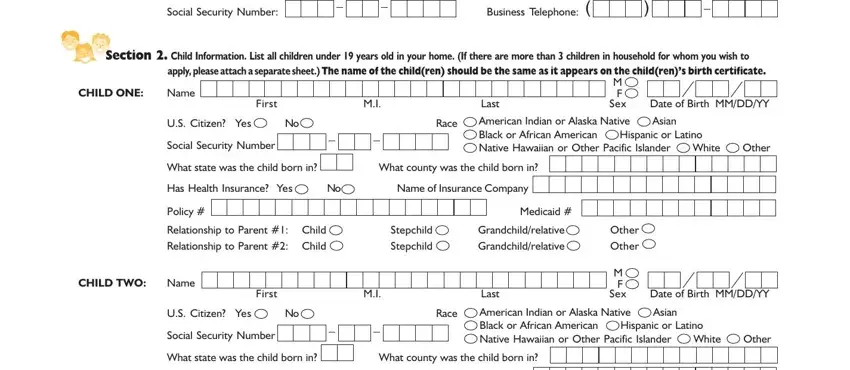 Completing section 2 of peachcare for kids application