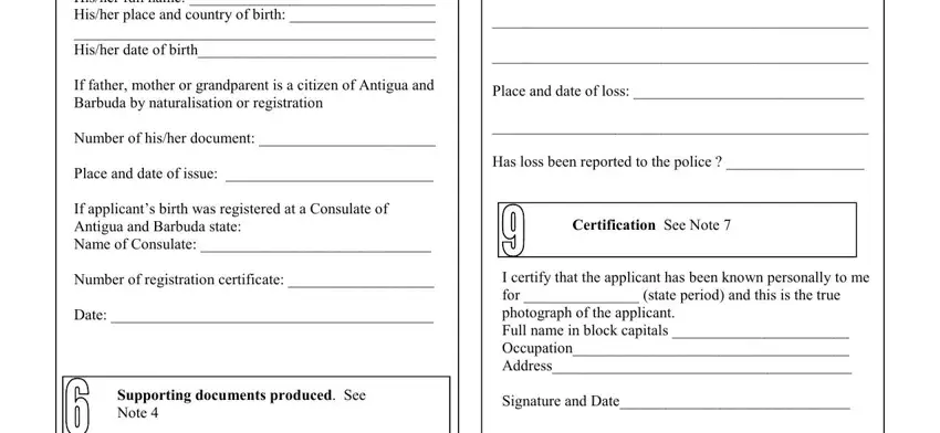 this field, next field, and other fields in antigua citizenship application form