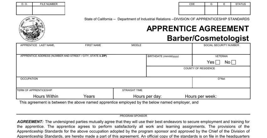 Filling out section 1 of apprenticeship form for hairdressing in nigeria