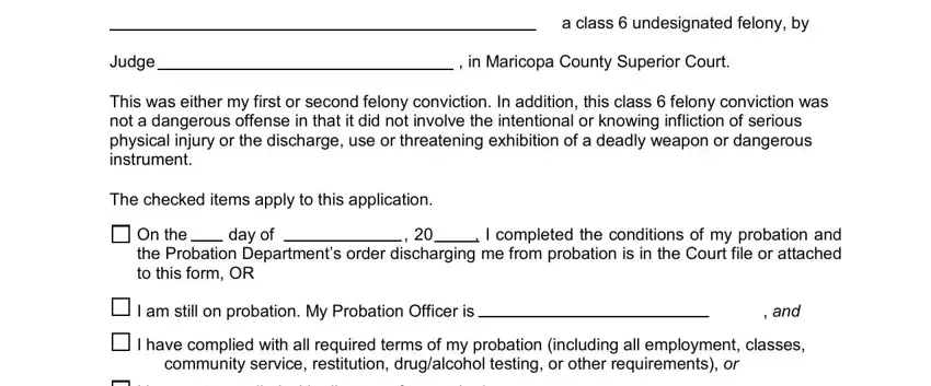 Step # 3 of submitting undesignated felony 6