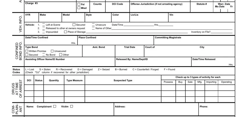 Stage no. 2 for filling in printable police report form