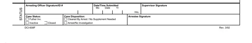 Filling in segment 3 in printable police report form