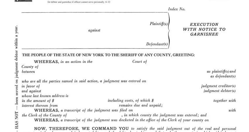 Step # 1 of completing nys property execution blumberg legal forms