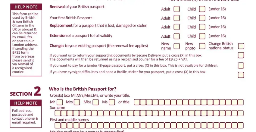 british passport payment form completion process clarified (step 1)