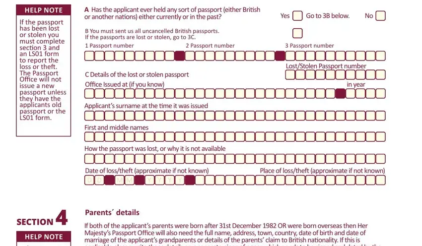 british passport payment form completion process detailed (part 3)