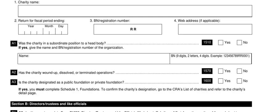 t3010 charity return form writing process outlined (portion 1)