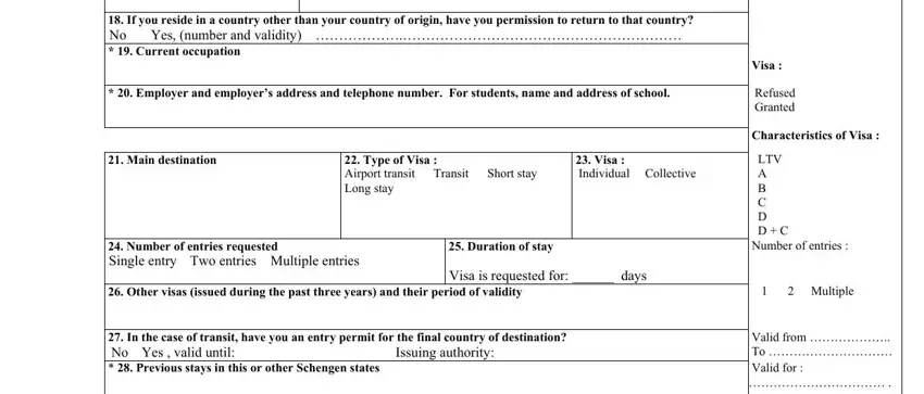 Completing section 4 in france visa application form