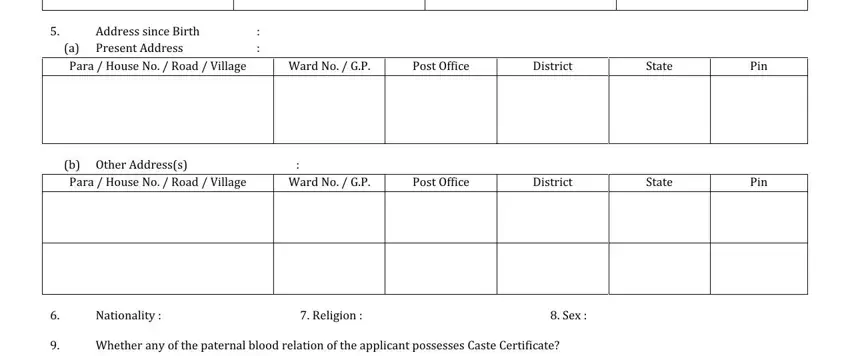 Pin, Post Office, and District inside caste certificate application form download