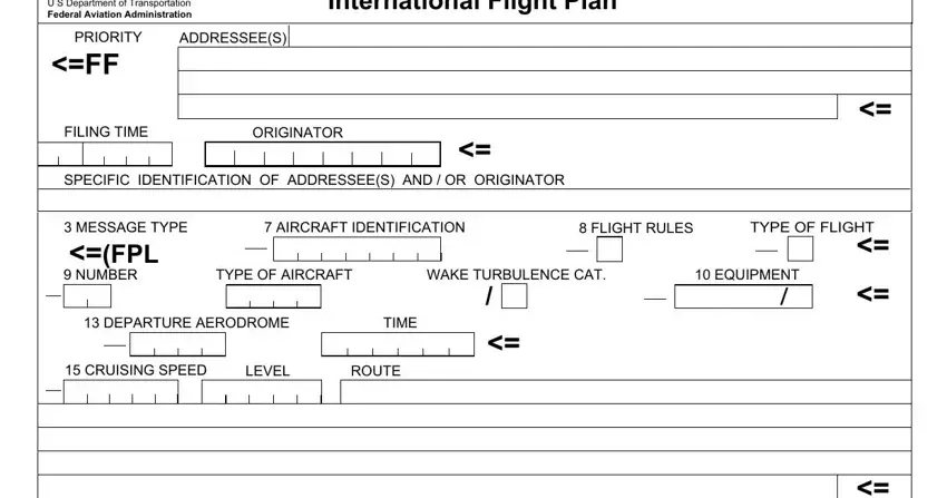 Filling in segment 1 of icao flight plan pdf