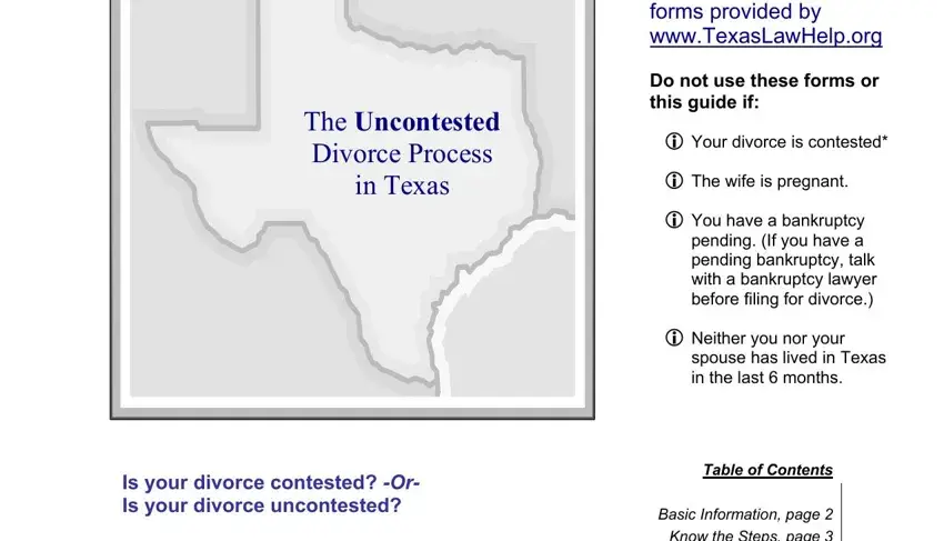 texas petition for divorce with child writing process explained (stage 1)
