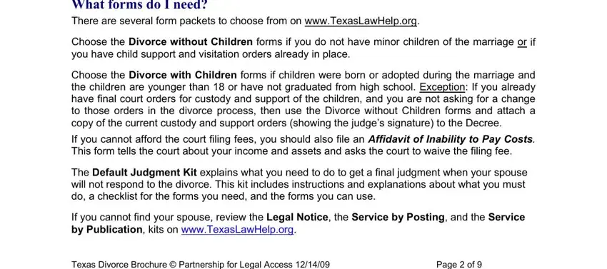 texas petition for divorce with child completion process shown (step 3)