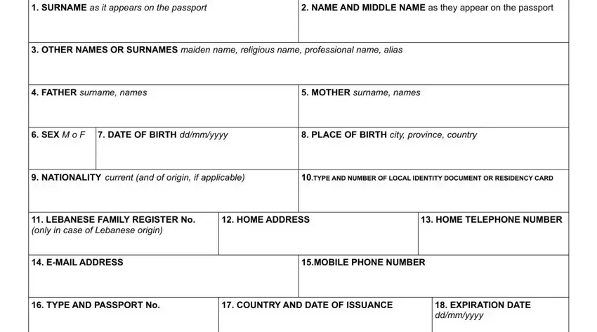 Writing section 1 in fsv visa application form download