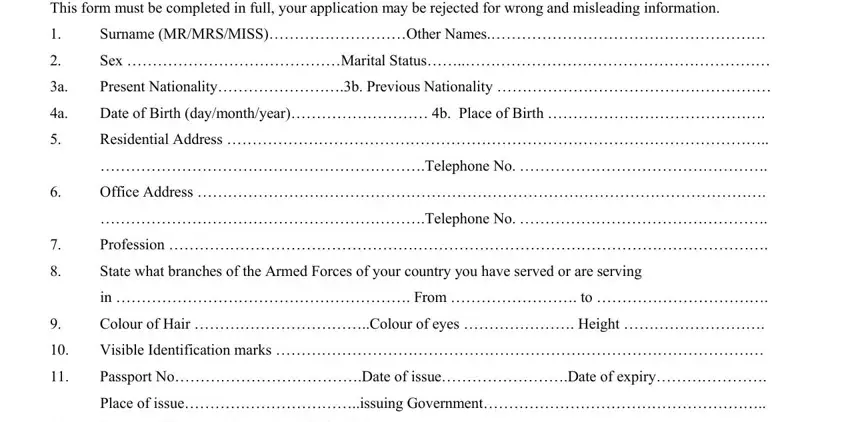 application form nigeria visa completion process detailed (part 1)