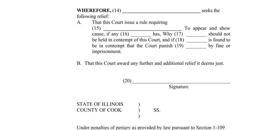 Filling in segment 3 in petition rule cause