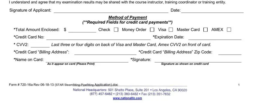 Last three or four digits on back, Required Fields for credit card, and AMEX in mhr form