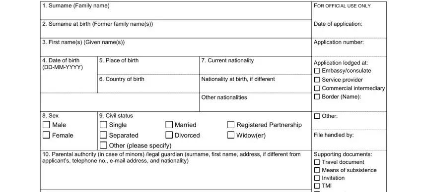 to edit visa application form schengen germany conclusion process described (part 1)