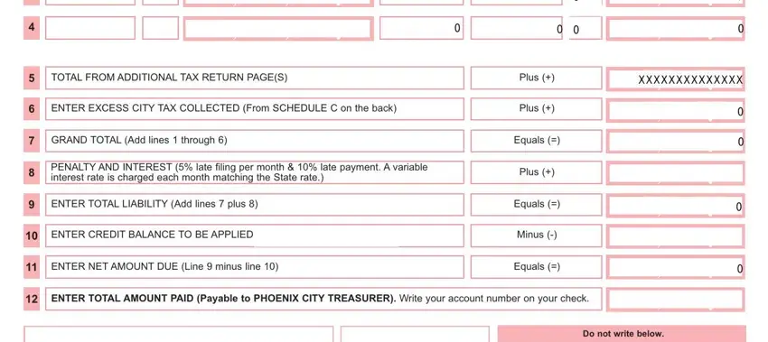 ENTER NET AMOUNT DUE Line  minus, Plus, and ENTER EXCESS CITY TAX COLLECTED of arizona phoenix tax return form