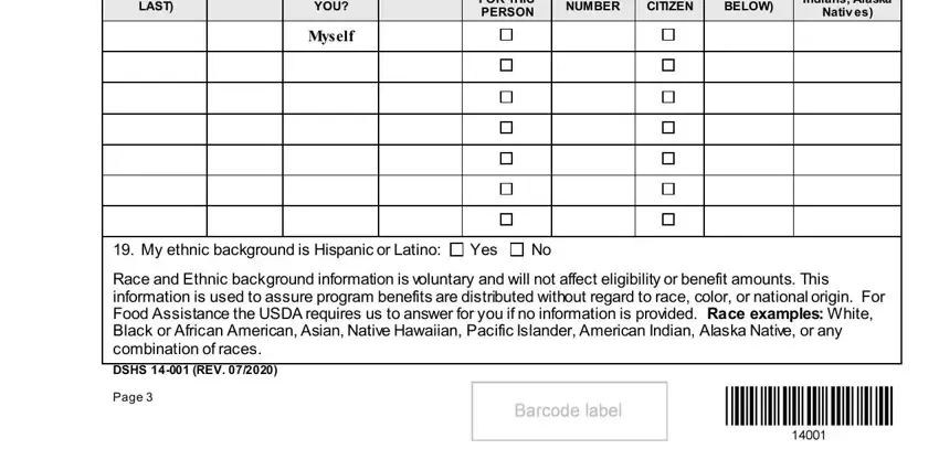 Race and Ethnic background, Myself, and BELOW inside form application food
