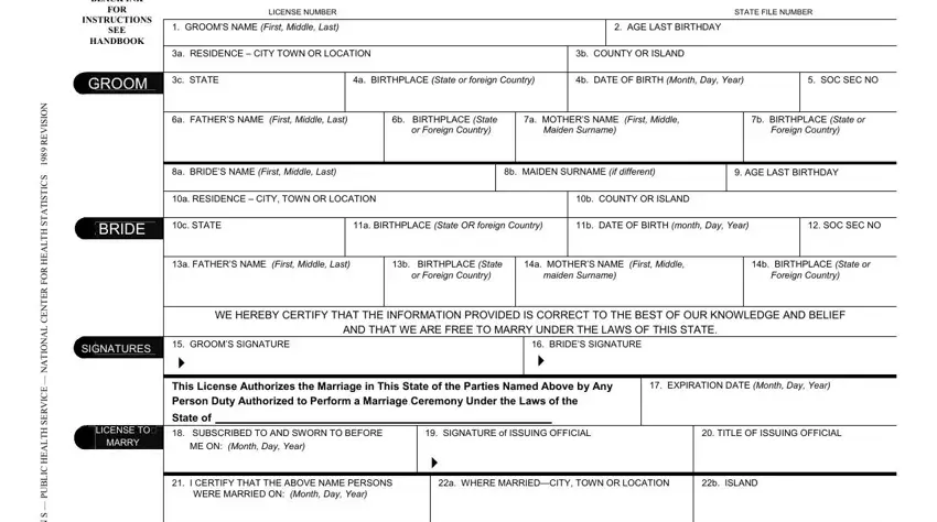 marriage form usa pdf writing process clarified (stage 4)
