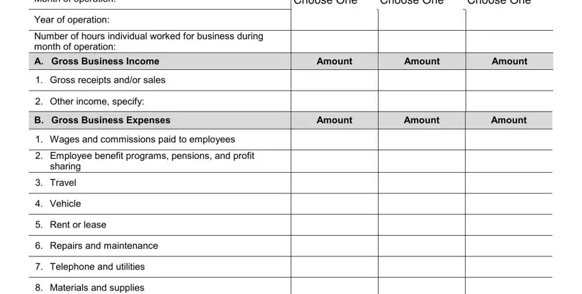 Gross receipts andor sales, Other income specify, and Amount in proof of self employment form