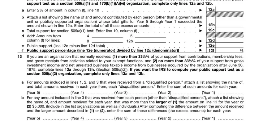 The way to fill in irs form ruling step 3