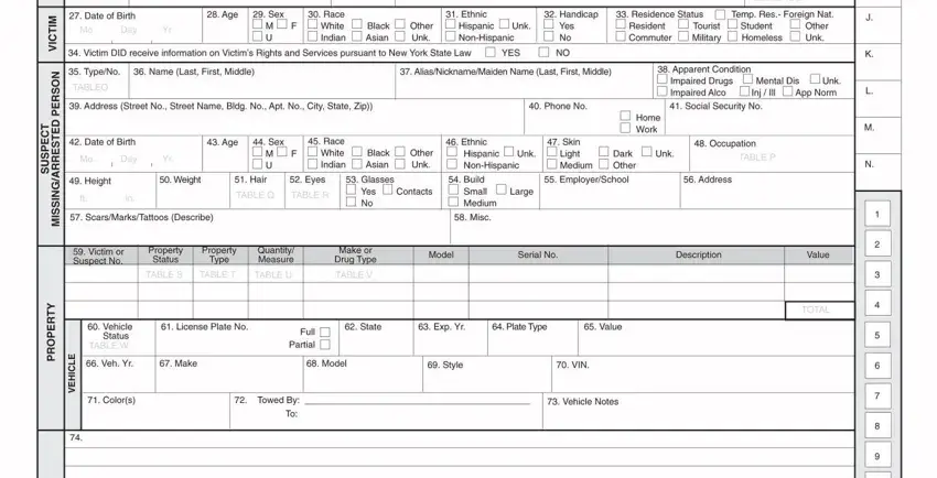 this field, next field, and other fields inside nys incident form