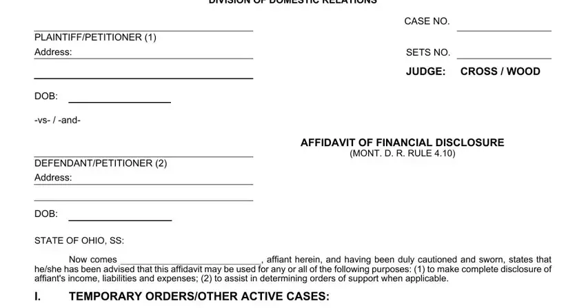 Filling in segment 1 in ohio public defenders office affidavit financial disclosure form