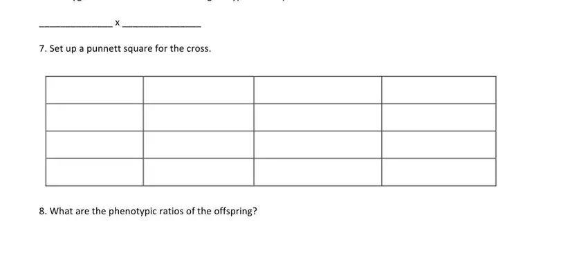 The right way to fill in chapter 10 dihybrid cross worksheet portion 5