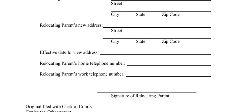 Relocating Parents name Relocating, Signature of Relocating Parent, and Relocating Parents home telephone inside domestic forms ohio supreme court