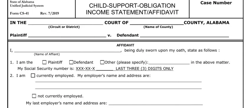 Writing section 1 of Child Support Statement Form