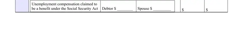bankruptcy form b22a completion process described (portion 5)