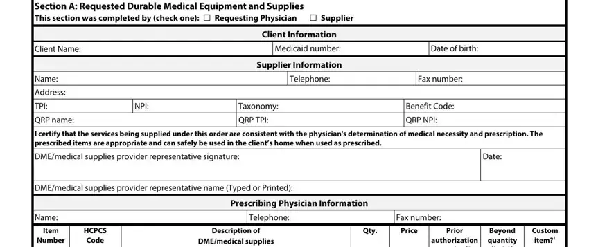 Name, Section A Requested Durable, and NPI inside Title Xix Form