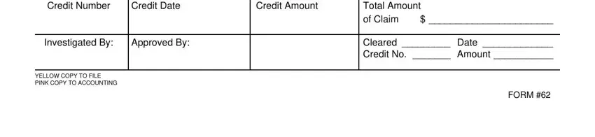 FORM, Credit Date, and YELLOW COPY TO FILE PINK COPY TO in debit note format in pdf