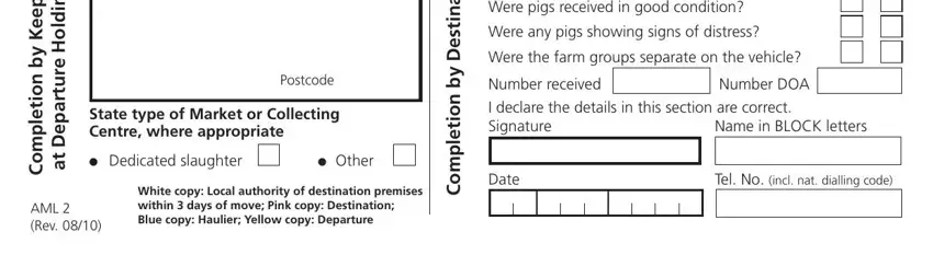 pig movement conclusion process shown (part 3)