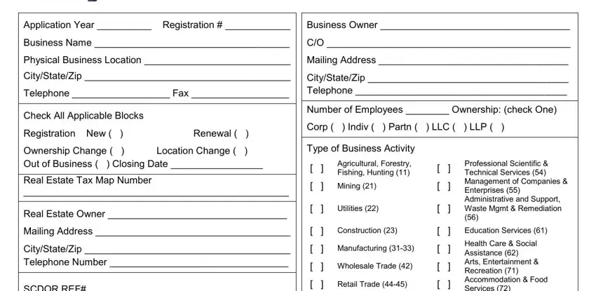 greenville county business registration application writing process described (part 1)