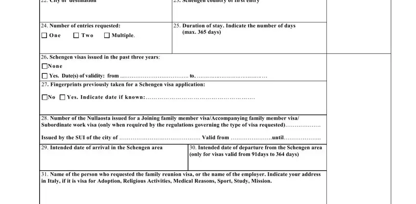 Writing part 3 in apply for italian resident visa