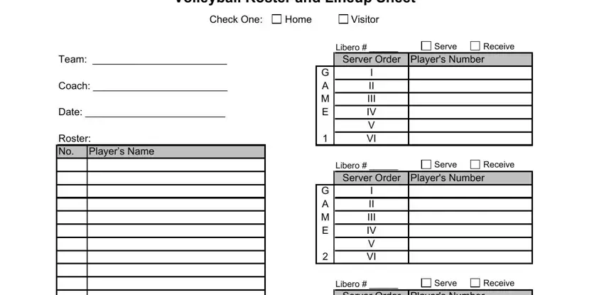 Filling in section 1 of iv roster sheet