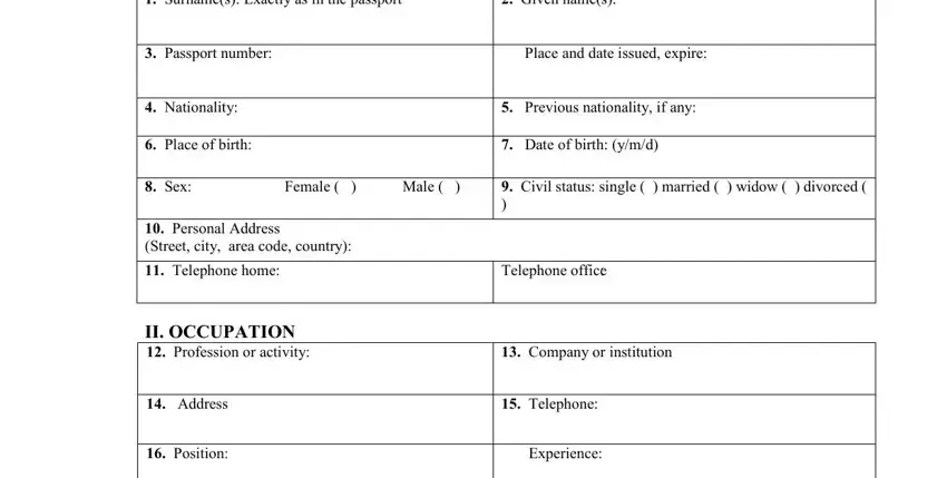 Writing segment 1 of mexico application form