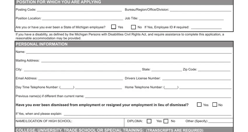 Michigan Form 0999D writing process shown (portion 1)