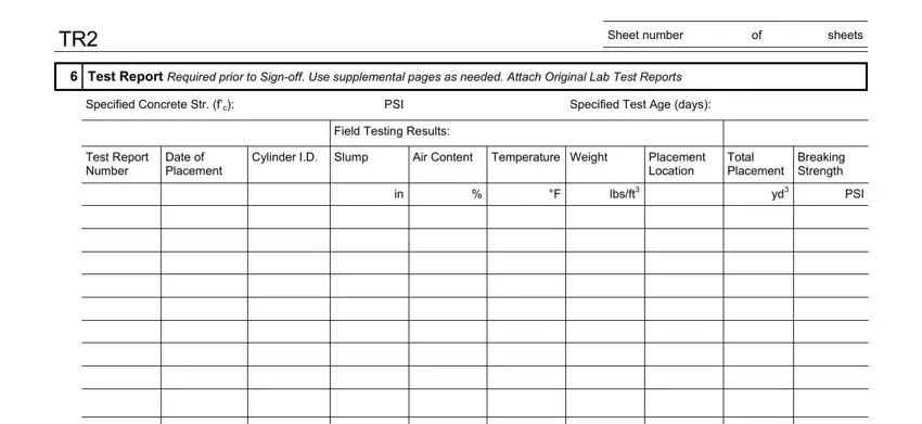 Date of Placement, Breaking Strength, and PSI inside Nyc Form Tr2
