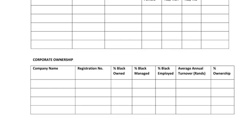 The best way to fill in nyda business funding application forms 2021 pdf download step 4