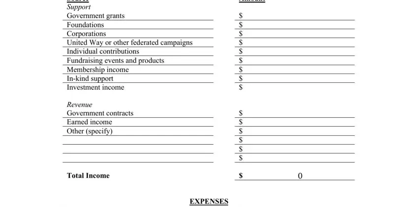 EXPENSES, Amount, and Total Income in minnesota common grant application