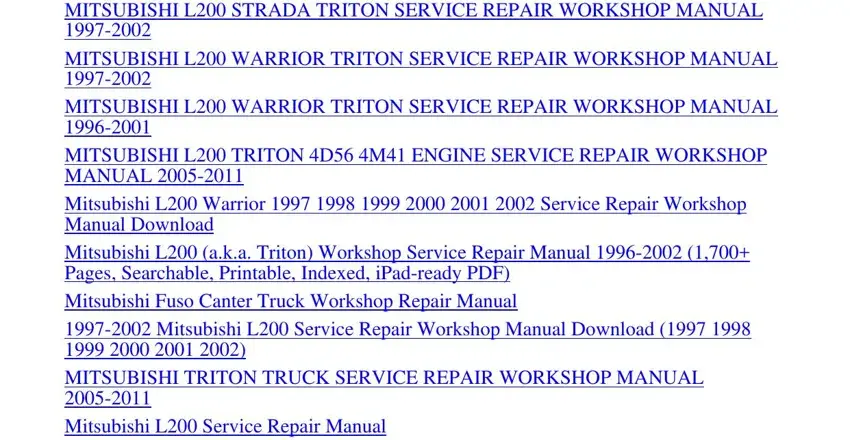 Stage no. 4 for filling out triton user manual