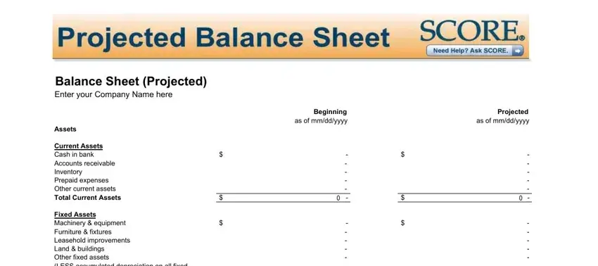 how to fill balance sheet writing process clarified (portion 1)
