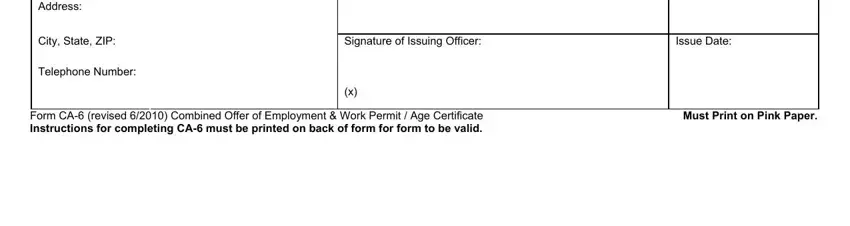 Issue Date, Address, and Form CA revised  Combined Offer of in ca 6 work permit