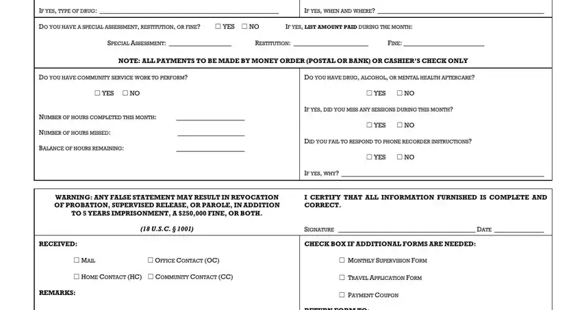 Form Monthly Report Probation Fill Out Printable Pdf Forms Online