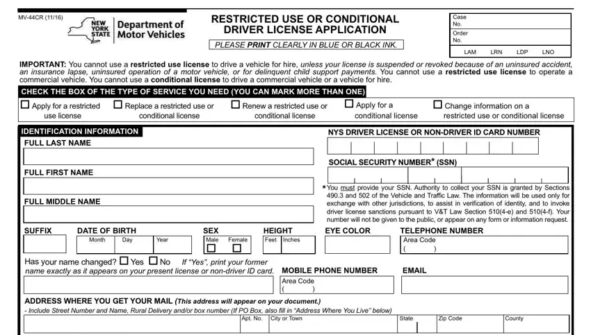 Filling in section 1 of new york conditional license